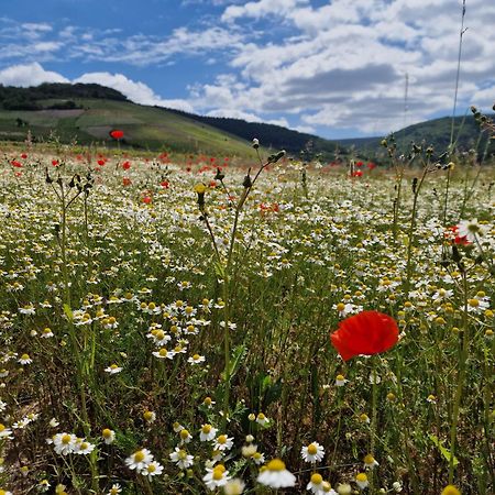 Das Rote Ferienhaus Terlinden Lieser Luaran gambar